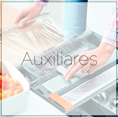 auxiliares